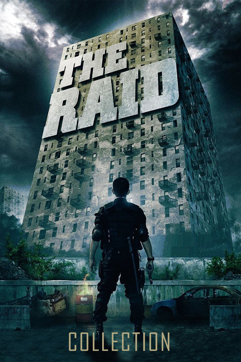 The Raid [195294] (A1514624693) Collection (Movies) --Plex--